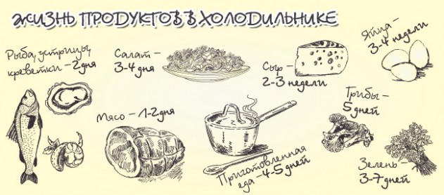Срок хранения продуктов в холодильнике